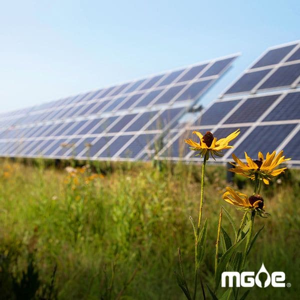 Interested in 100% renewable energy?