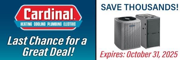 Advertisement