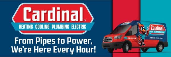 Advertisement
